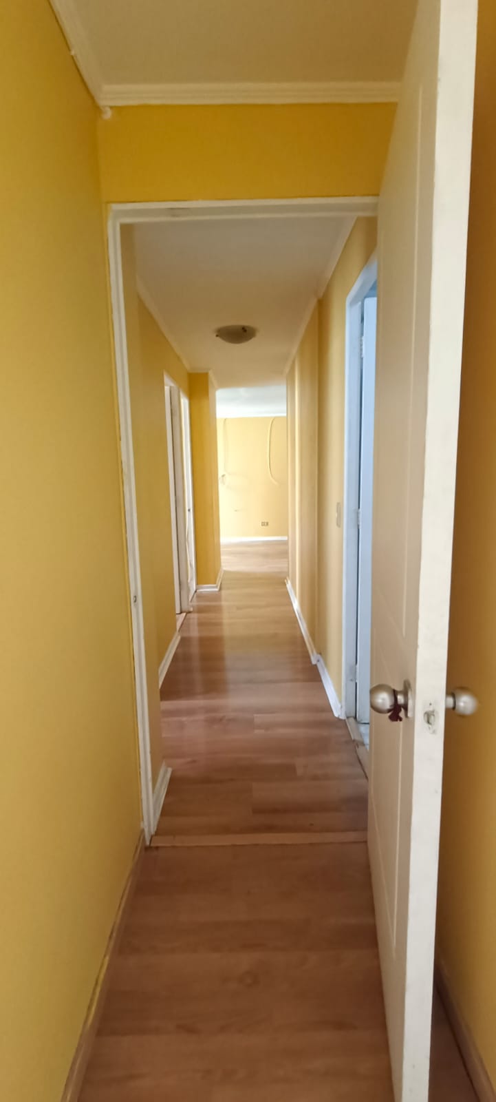 WhatsApp Image 2023-05-03 at 8.56.02 PM (1)