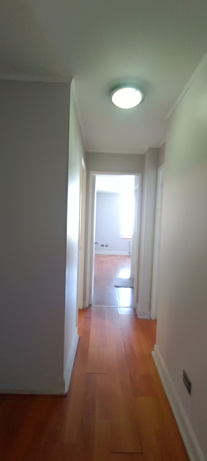 WhatsApp Image 2023-03-09 at 5.53.57 PM